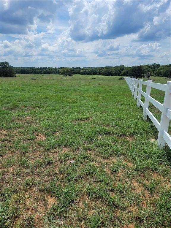 Elgin, TX 78621,000 LOT #1 Powell LN