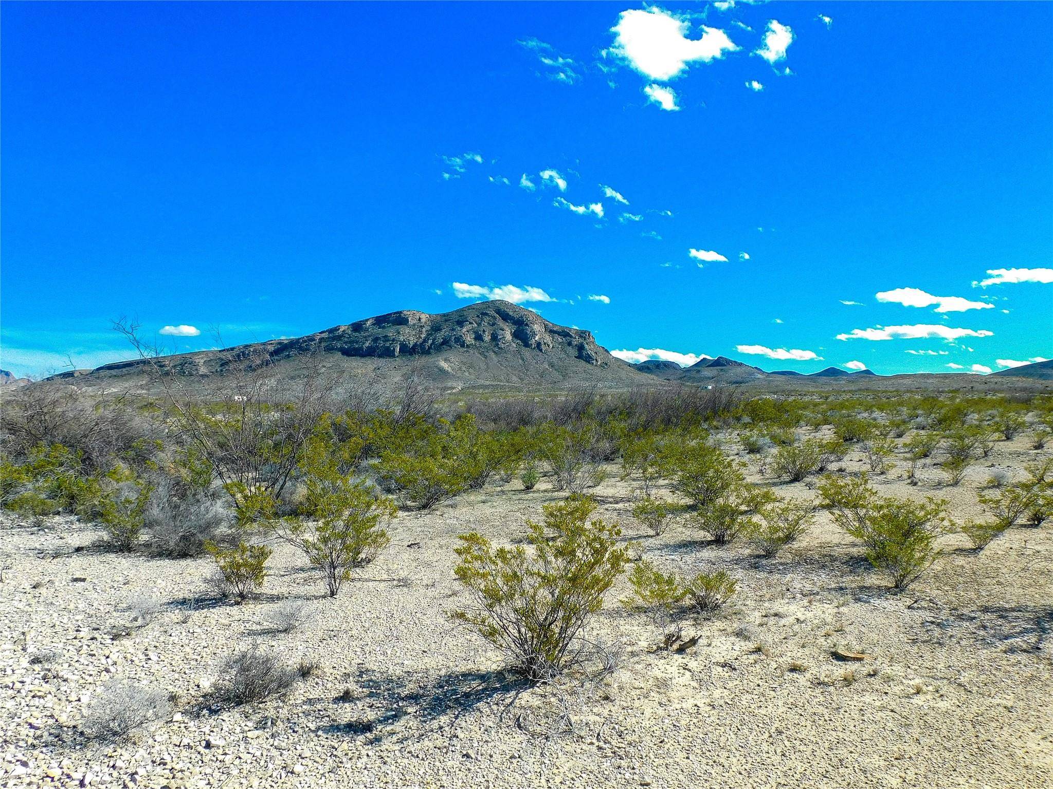 Terlingua, TX 79852,16949 Highlander RD