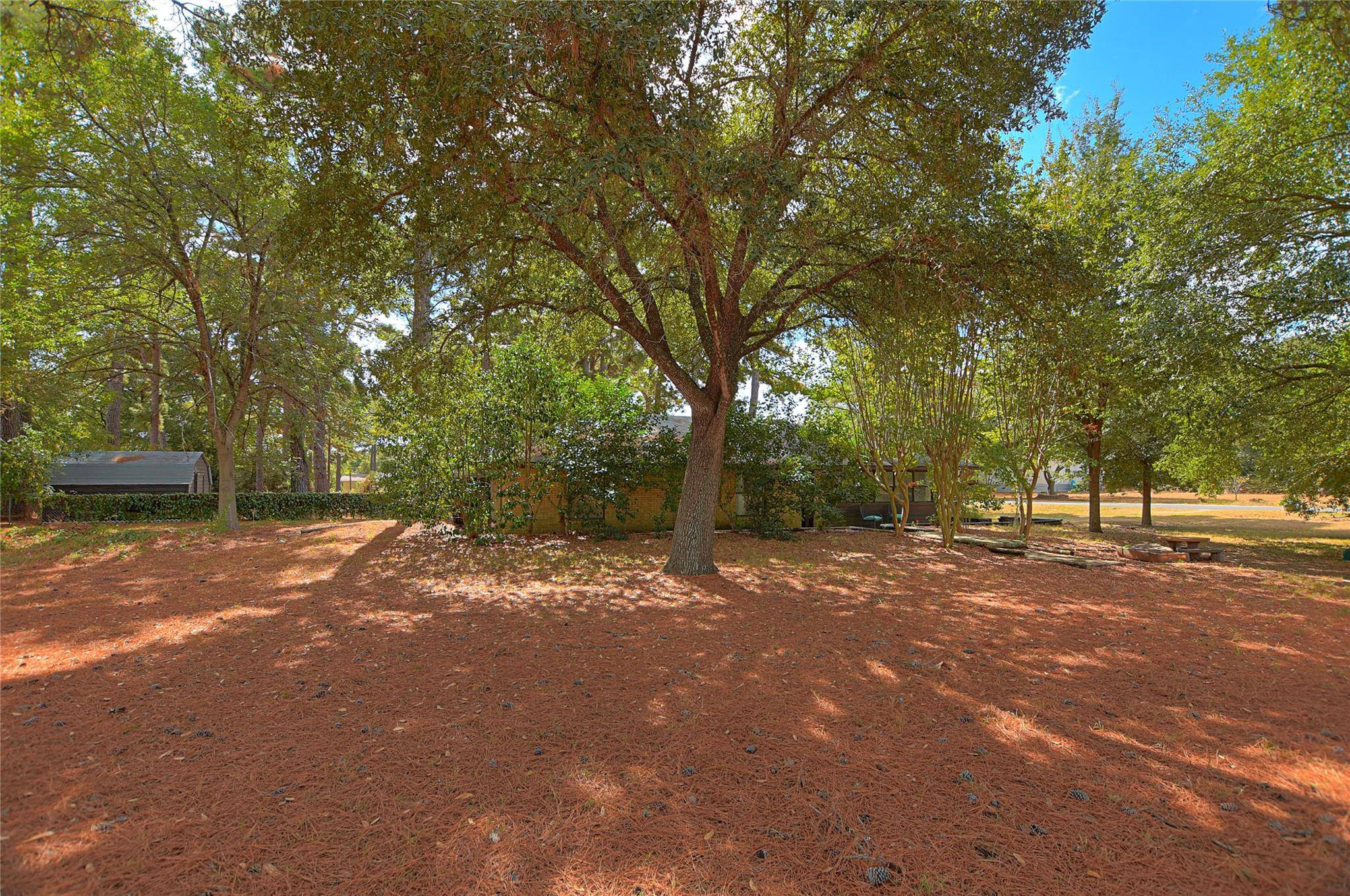 Bastrop, TX 78602,117 Plum ST