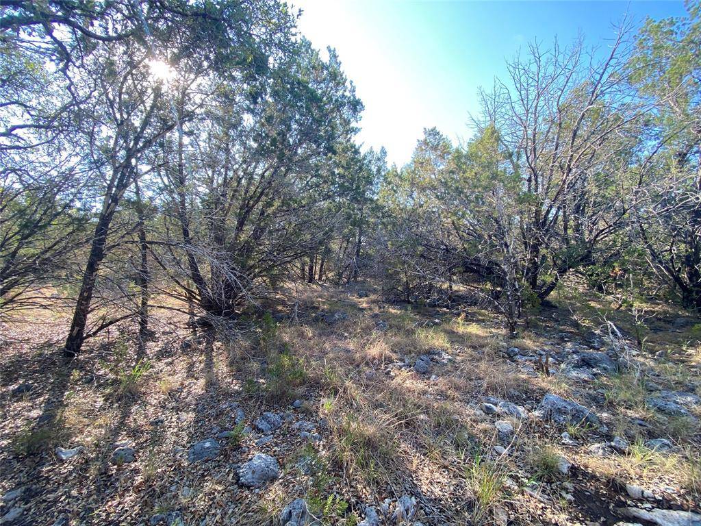 Burnet, TX 78611,319 Sunset DR