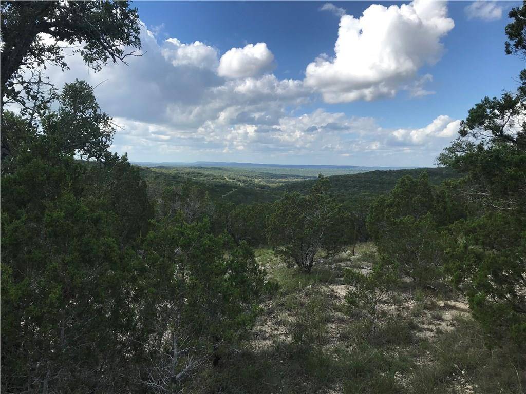 Dripping Springs, TX 78620,2516 Overland Stage RD