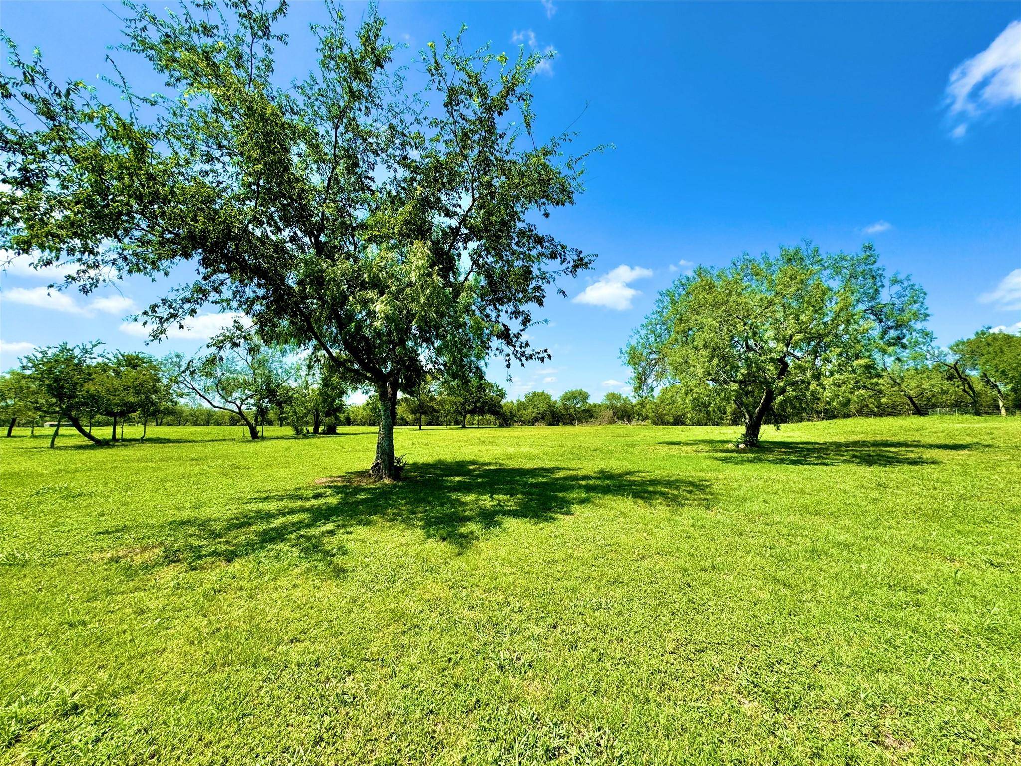 Dale, TX 78616,145 valerie LN