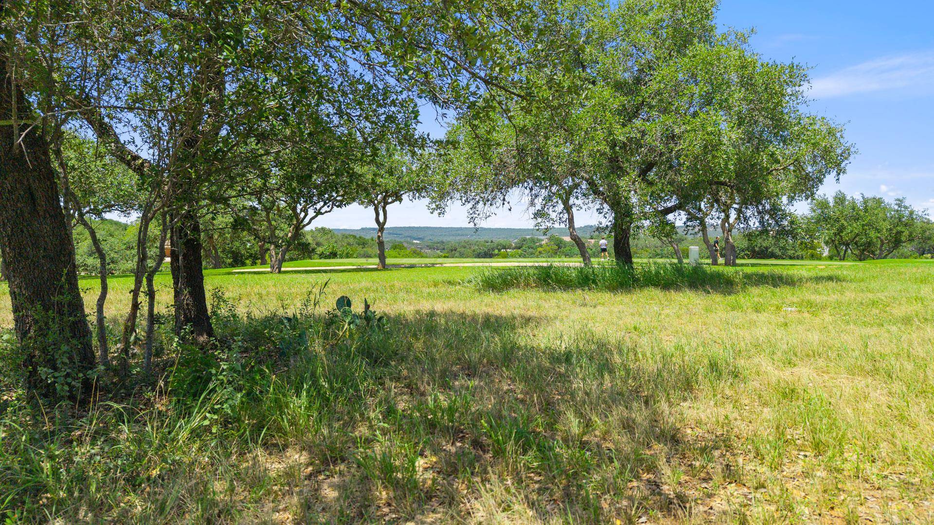Spicewood, TX 78669,25308 CLIFF XING XING