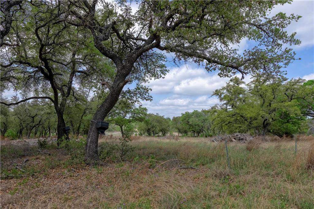 Bertram, TX 78605,239 Saddle Ridge DR