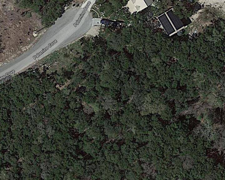 Lago Vista, TX 78645,21205 Palomino CV