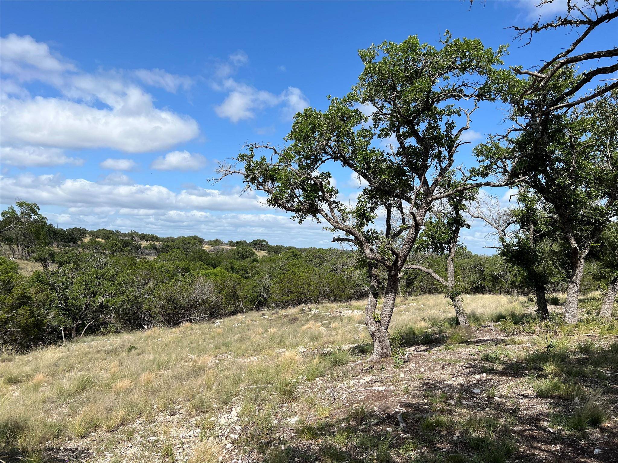 Junction, TX 76849,TBD S3660 Spring XING