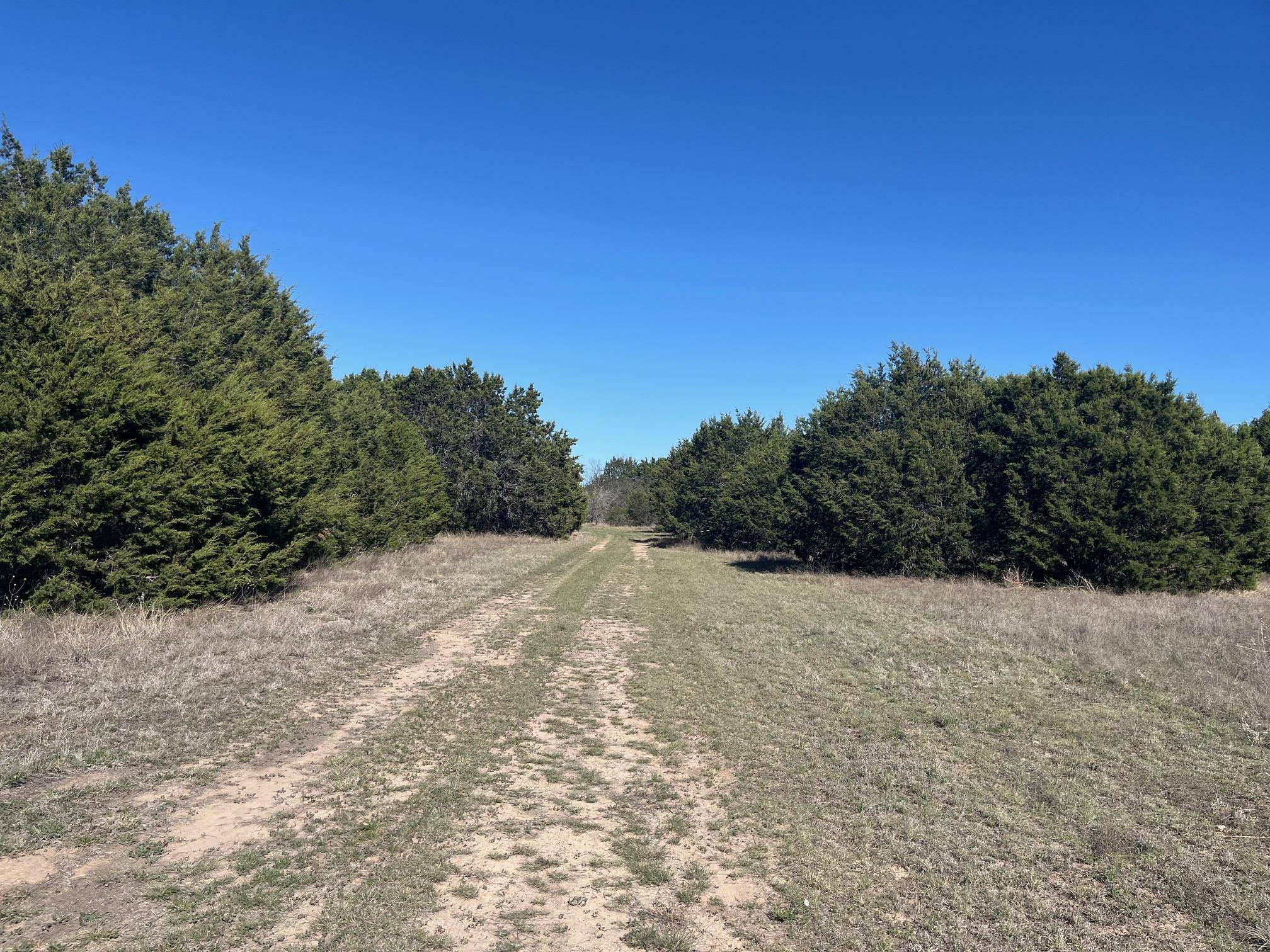 Lometa, TX 76853,0 US Hwy 183 N HWY