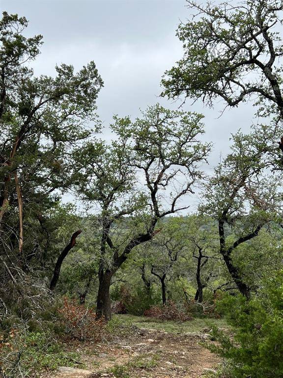 Wimberley, TX 78676,10 Acres TBD Pump Station RD