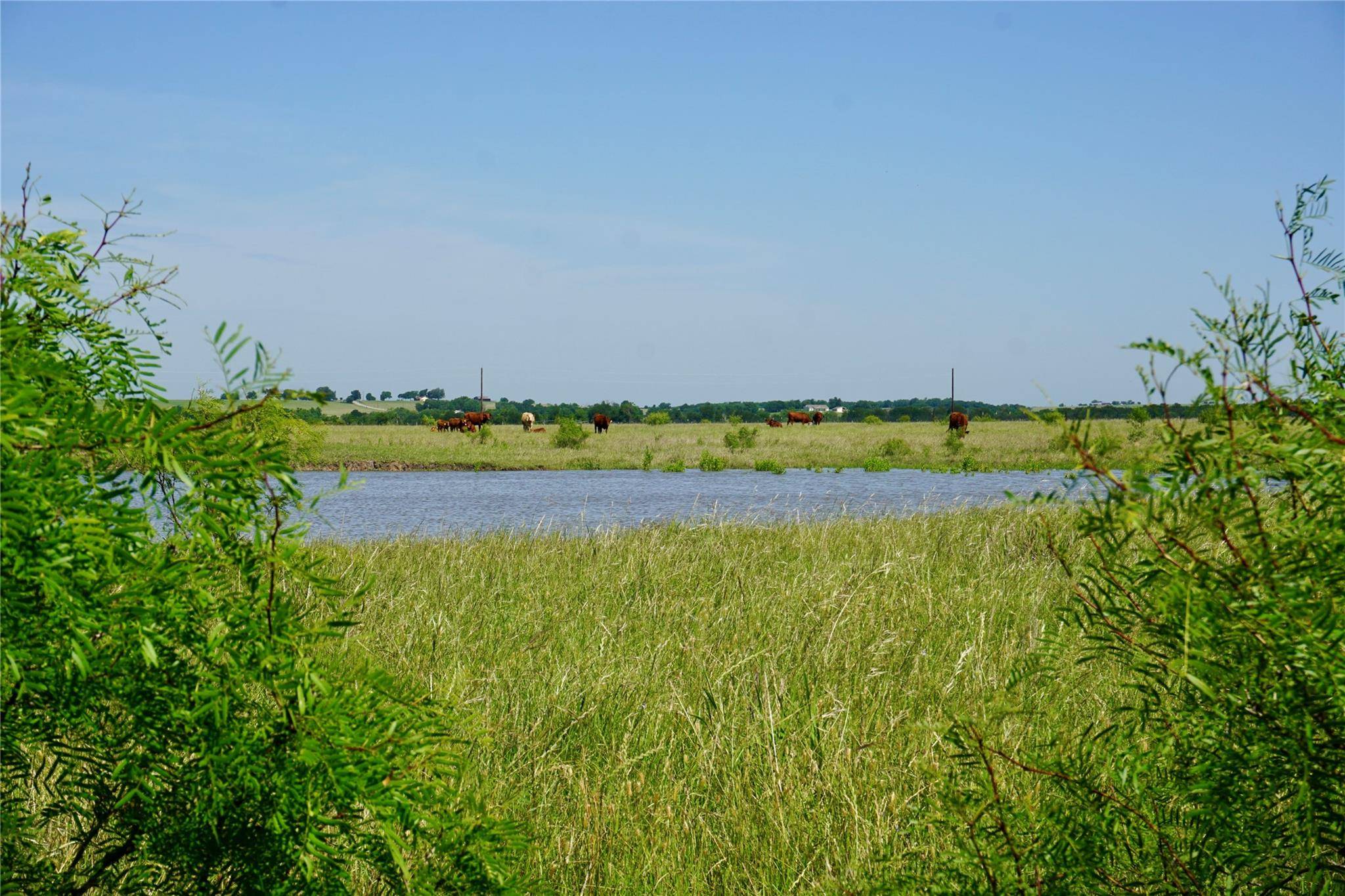 Rogers, TX 76569,Cr 101 County Road 101 RD