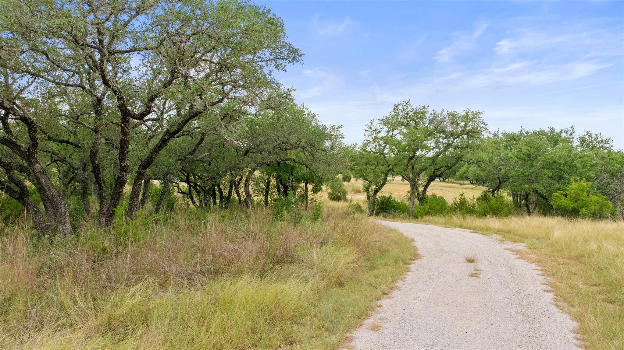 Johnson City, TX 78636,lot 58 rough hollow RD