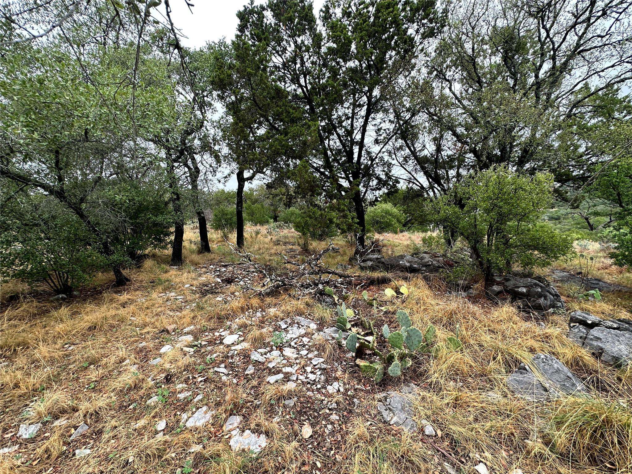 Horseshoe Bay, TX 78657,816 Mountain Dew