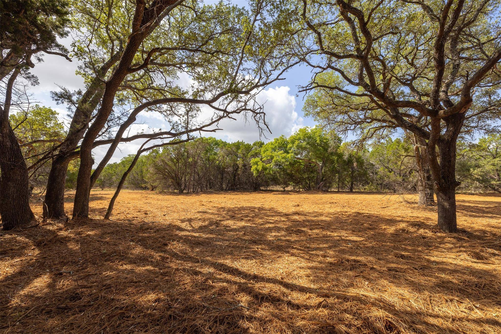 Wimberley, TX 78676,275 Deer Run