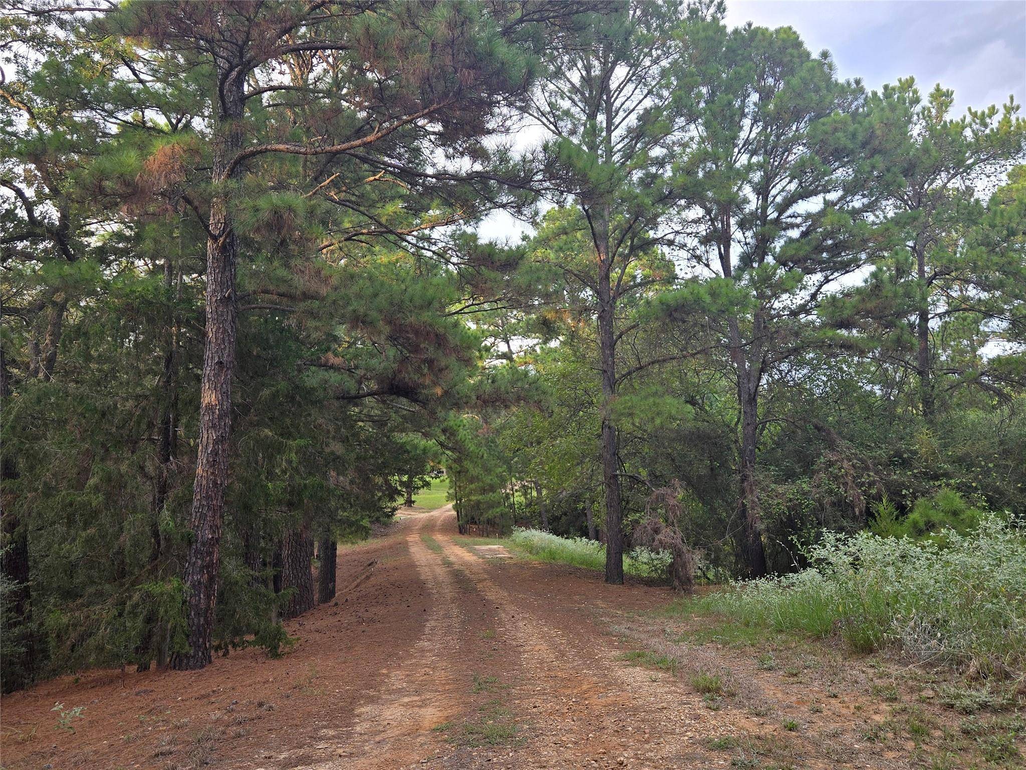 Rosanky, TX 78953,2438 Fm 535 HWY