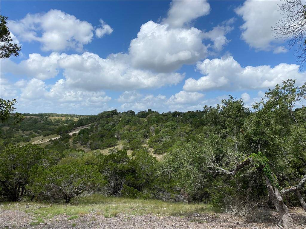 Blanco, TX 78606,TBD Million Oak CV