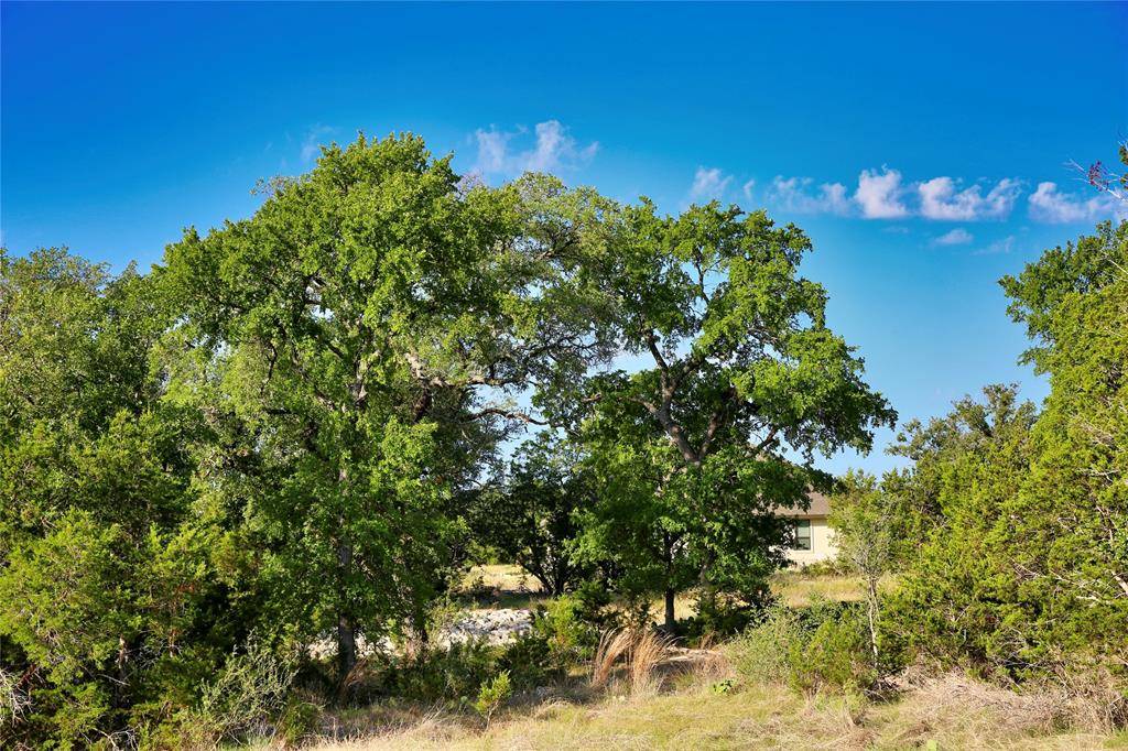 Spicewood, TX 78669,LOT#64 Mountain Laurel LN