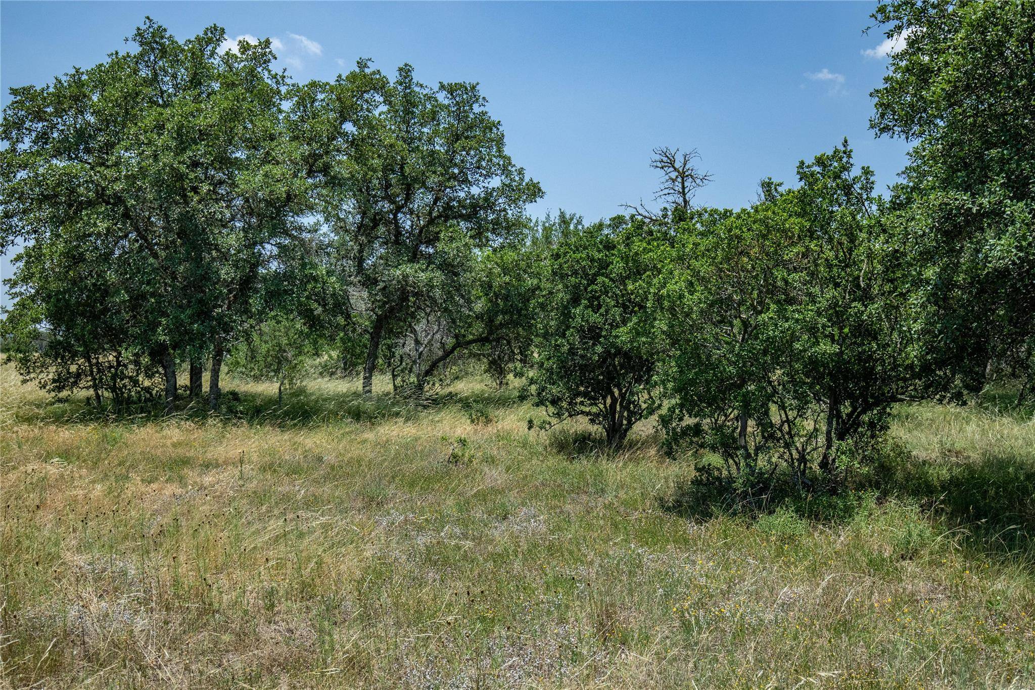 Center Point, TX 78010,142 Steel Creek CRST