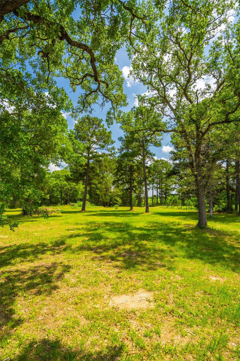 Smithville, TX 78957,677 Old Antioch RD