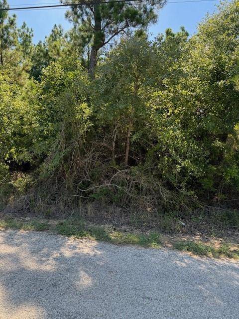 Bastrop, TX 78602,Lot 1355 N Kaupo DR