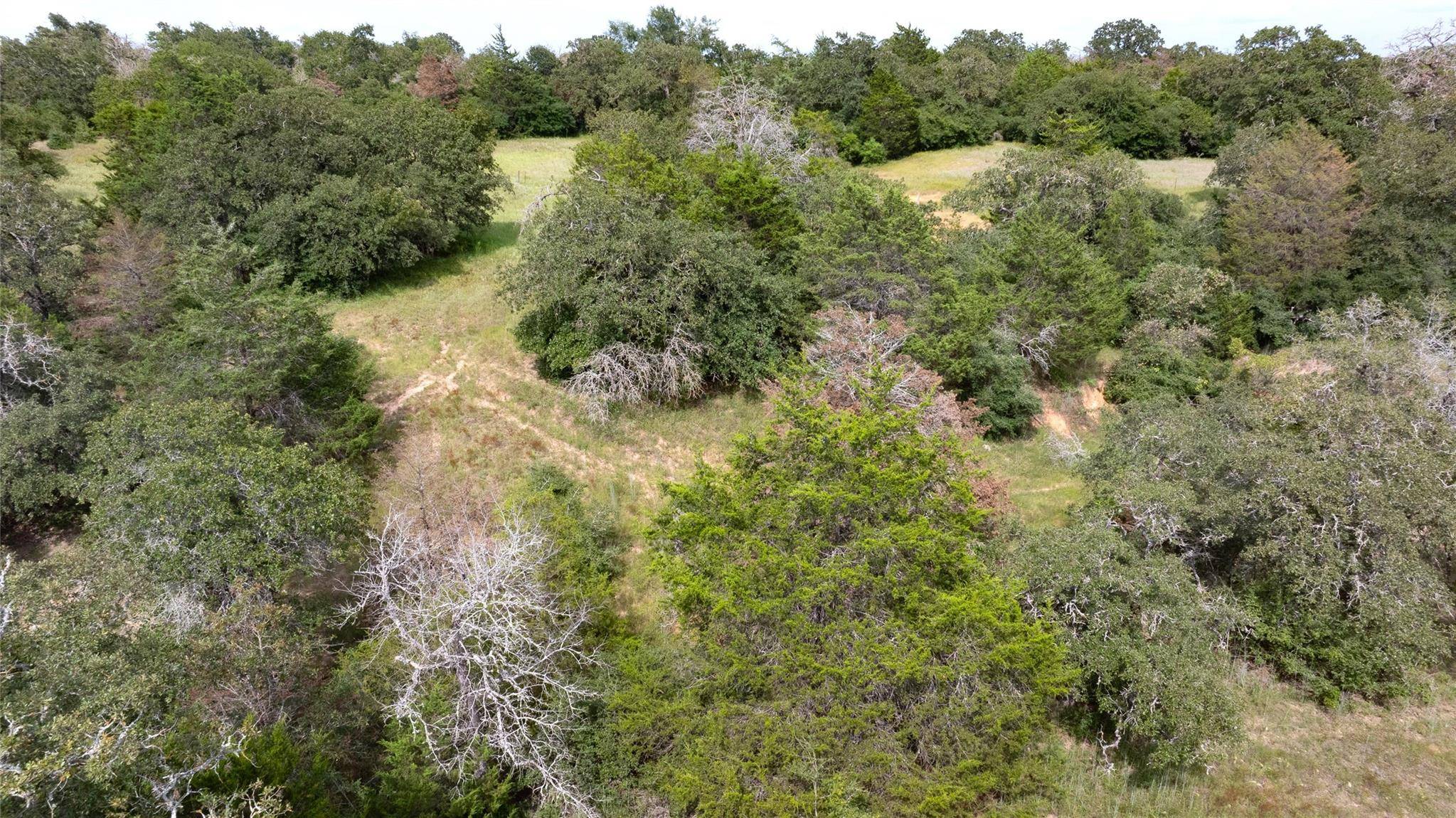 Milano, TX 76556,13 Acres TBD County Road 331