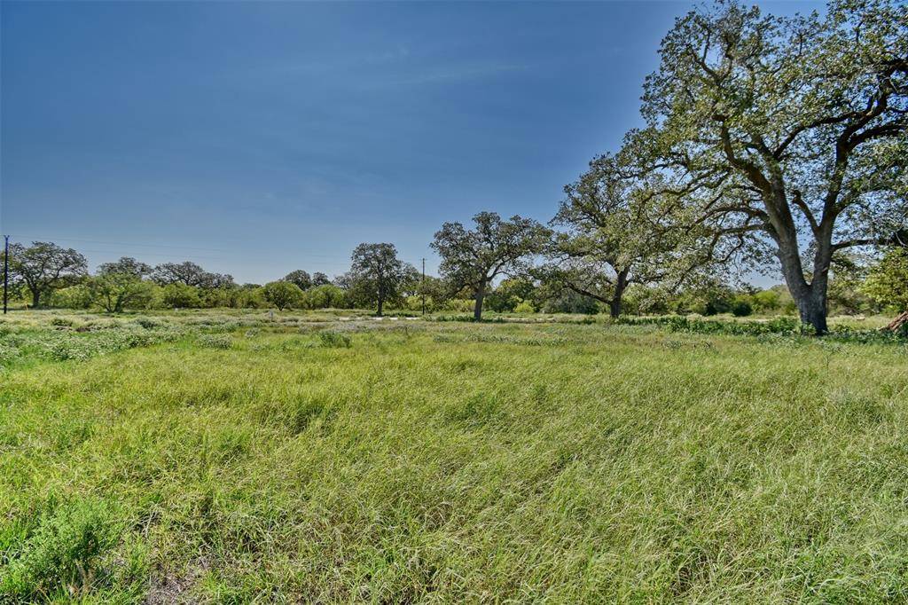 Red Rock, TX 78662,1-24 (2 Acres) Starlight Path