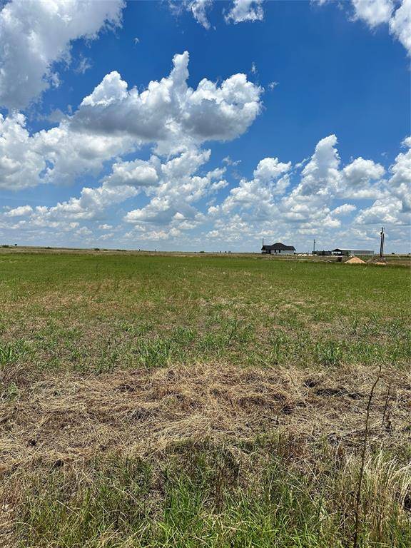 Elgin, TX 78621,2905 COUNTY ROAD 463 LOT 8 RD