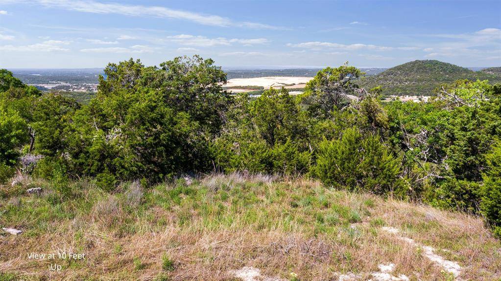 Lago Vista, TX 78645,21509 Wild Bear PATH