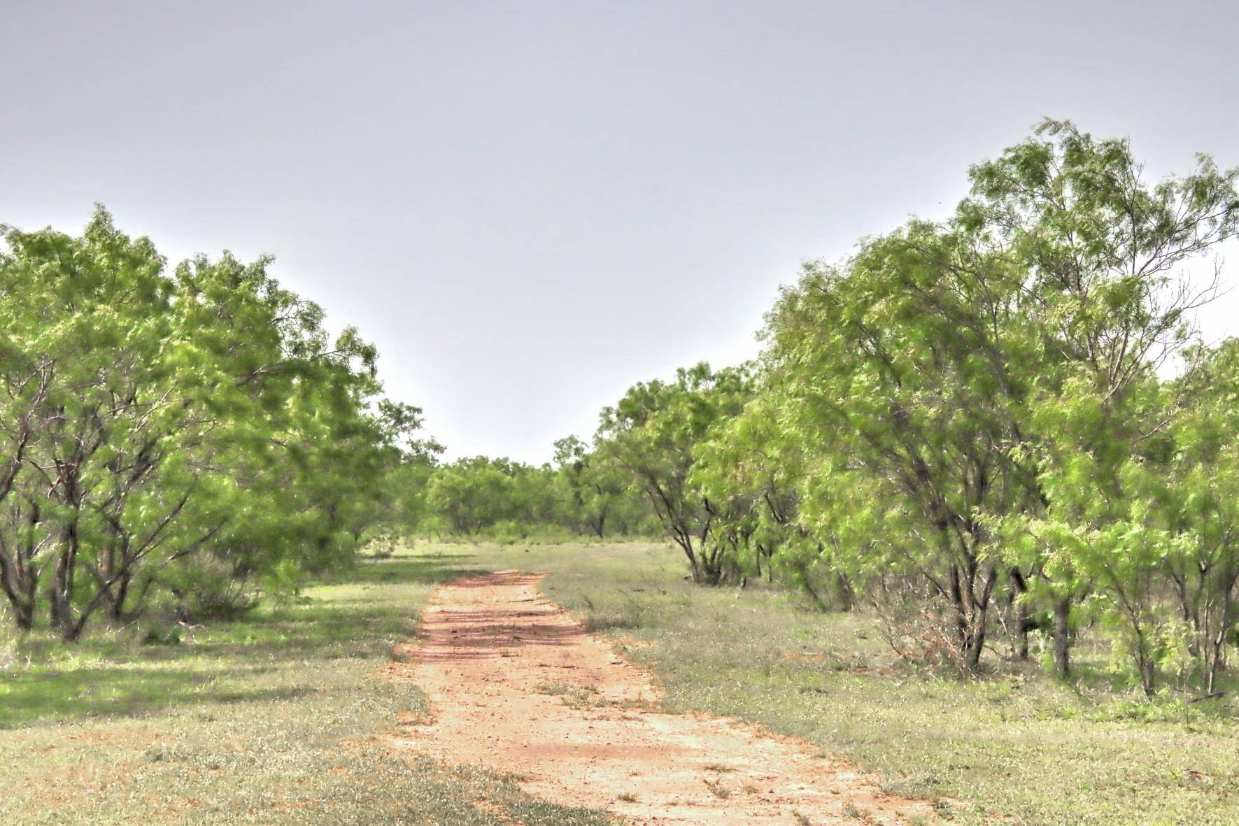 Goldthwaite, TX 76844,0 Farm to Market