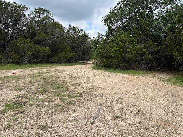 Wimberley, TX 78676,TBD Sage CT