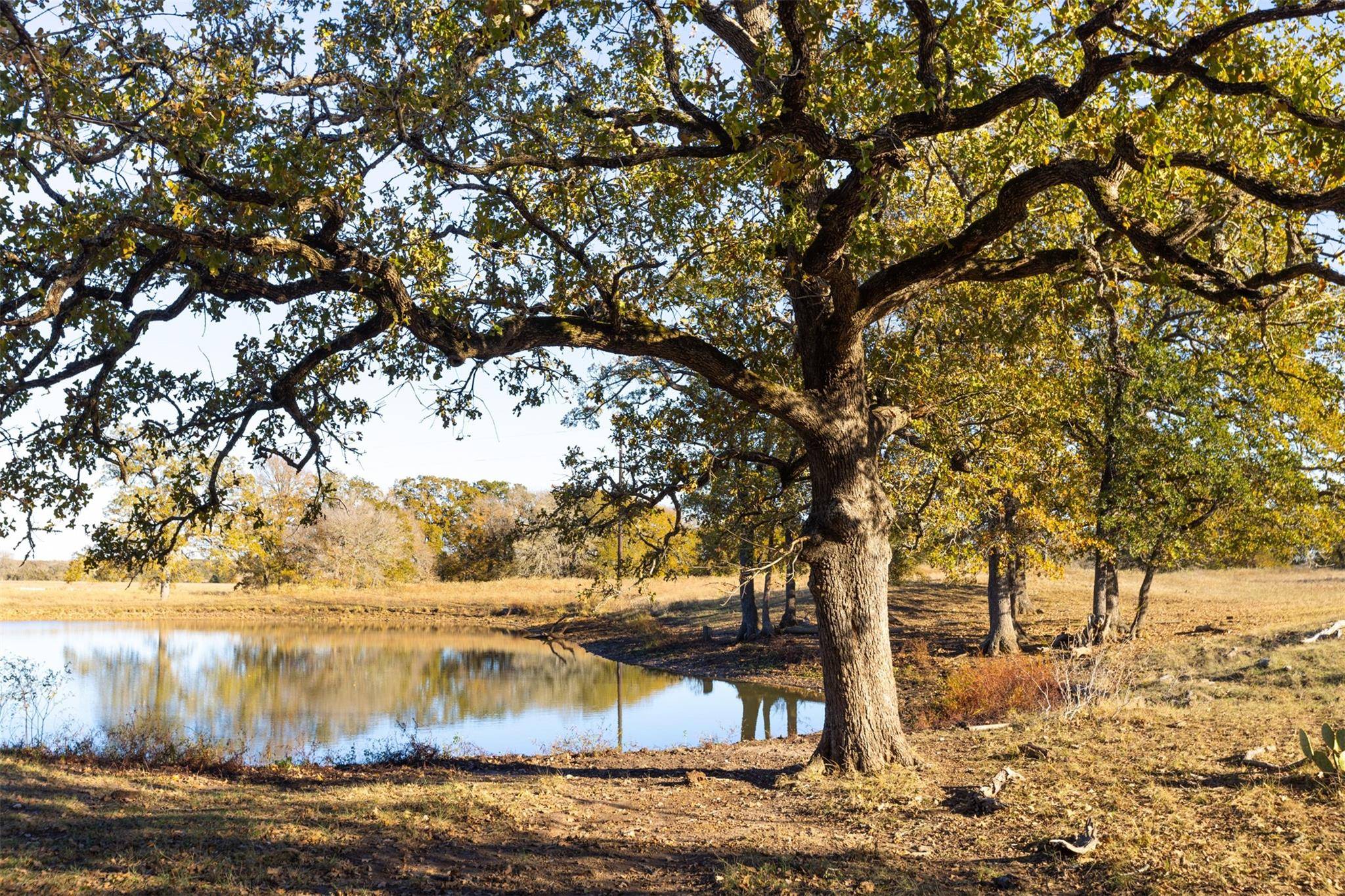 Paige, TX 78659,0 Highway 290