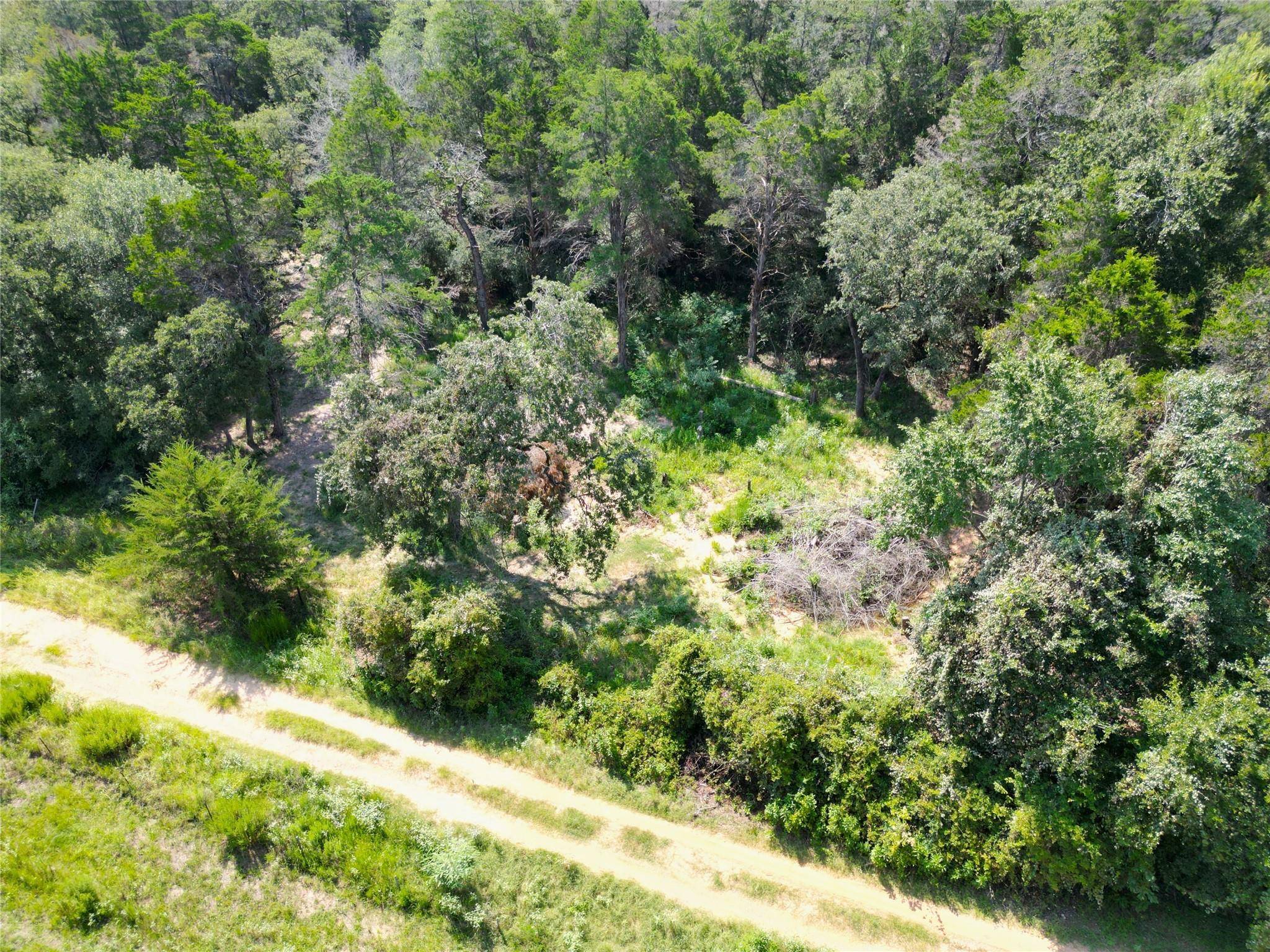 Lexington, TX 78947,1690 County Road 413 N #TRACT 1