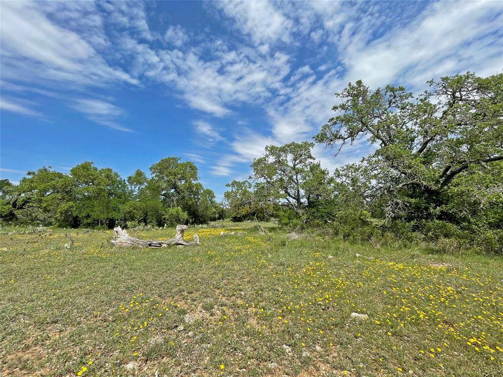 Burnet, TX 78611,000 County Road 116B (Tract 1)