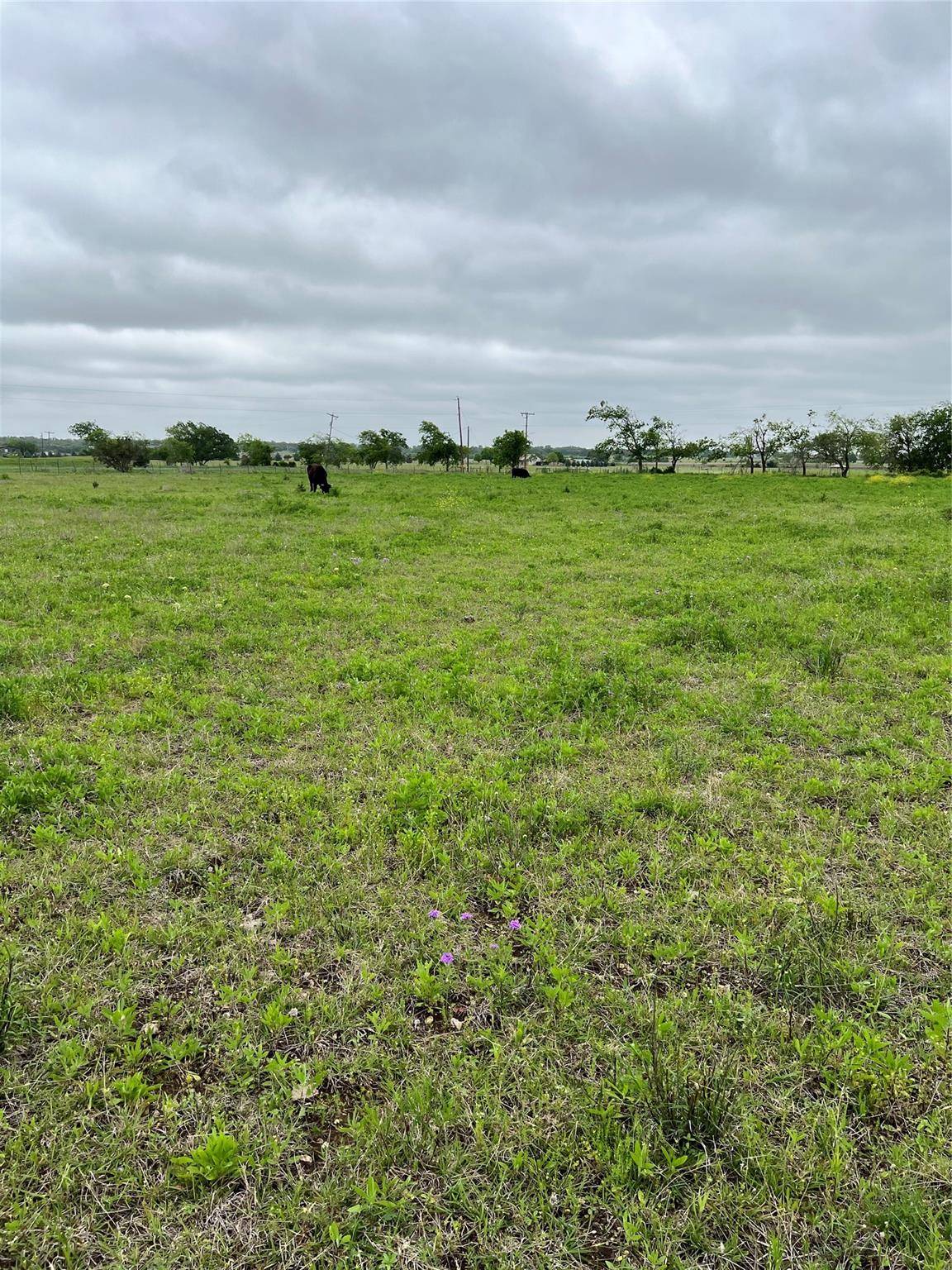 Florence, TX 76527,TBD County Rd 219