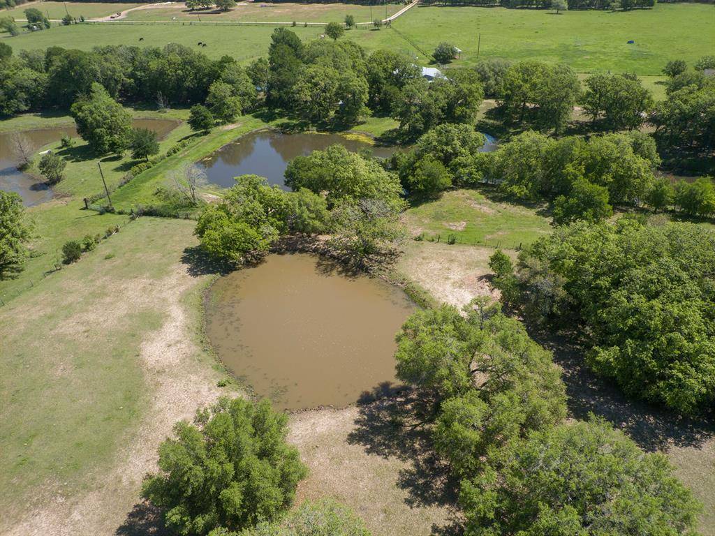 Paige, TX 78659,317 Lois LN