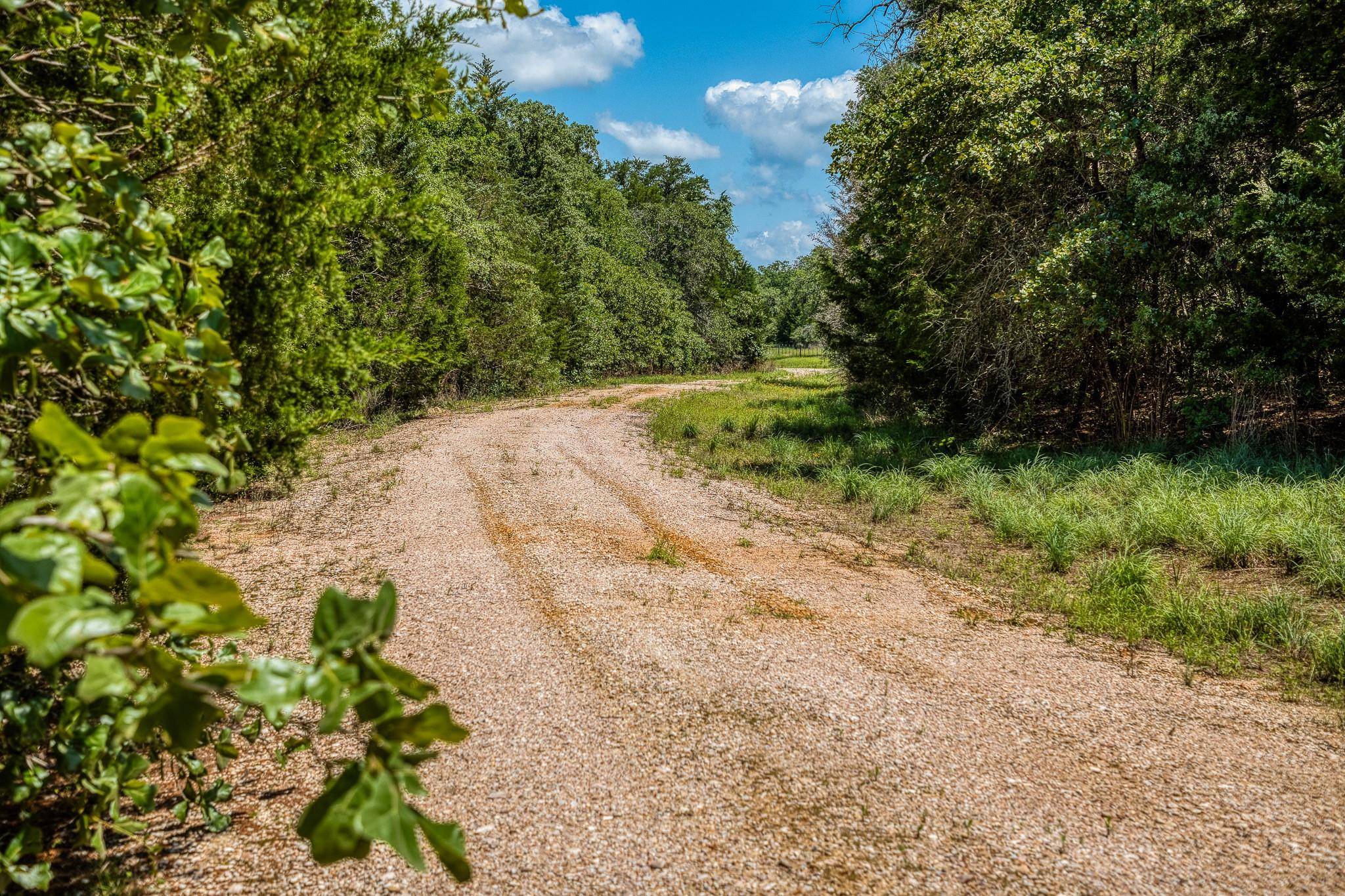 Lexington, TX 78947,1012 County Road 438