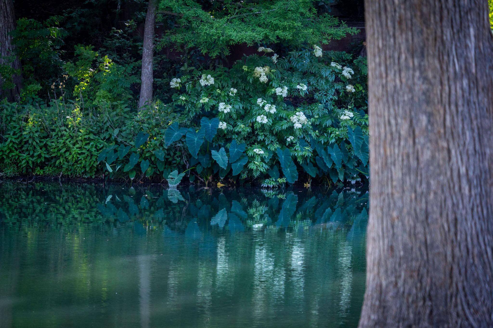 New Braunfels, TX 78130,1106 Hillcrest DR