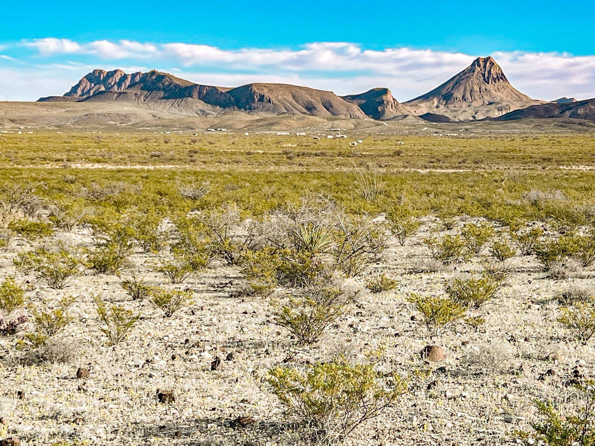 Terlingua, TX 79852,19795 Reimers RD