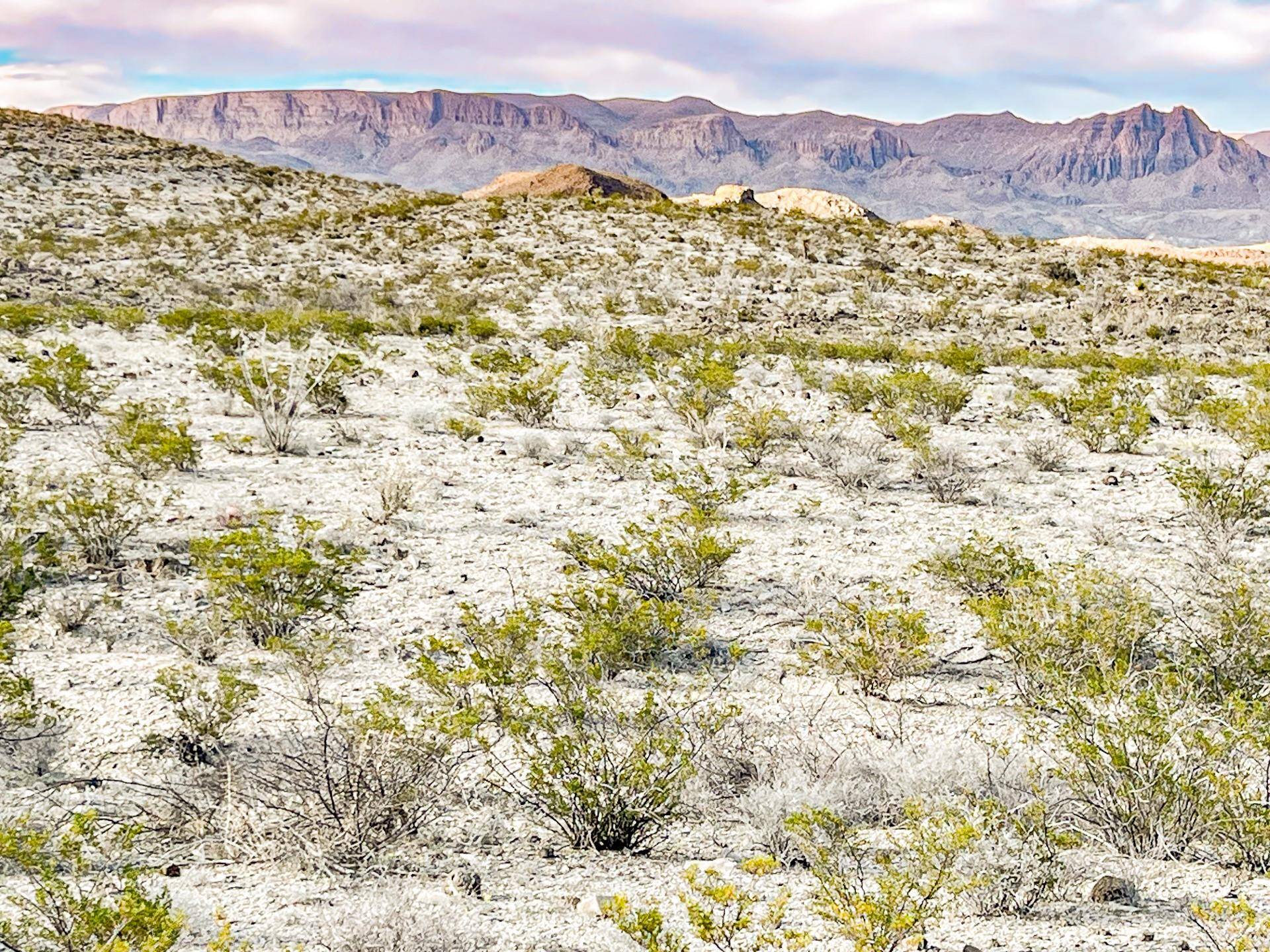 Terlingua, TX 79852,19795 Reimers RD