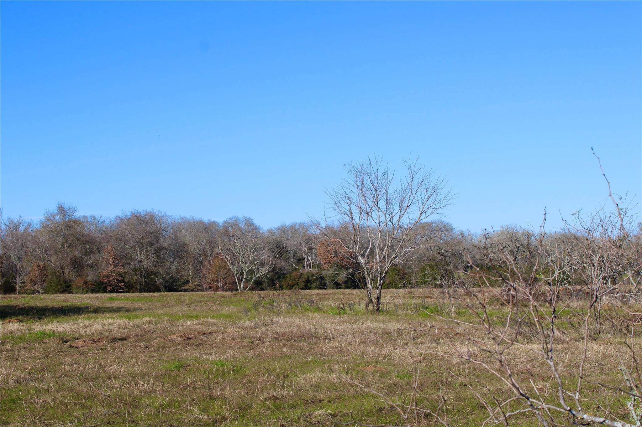 Lexington, TX 78947,000 CR 412