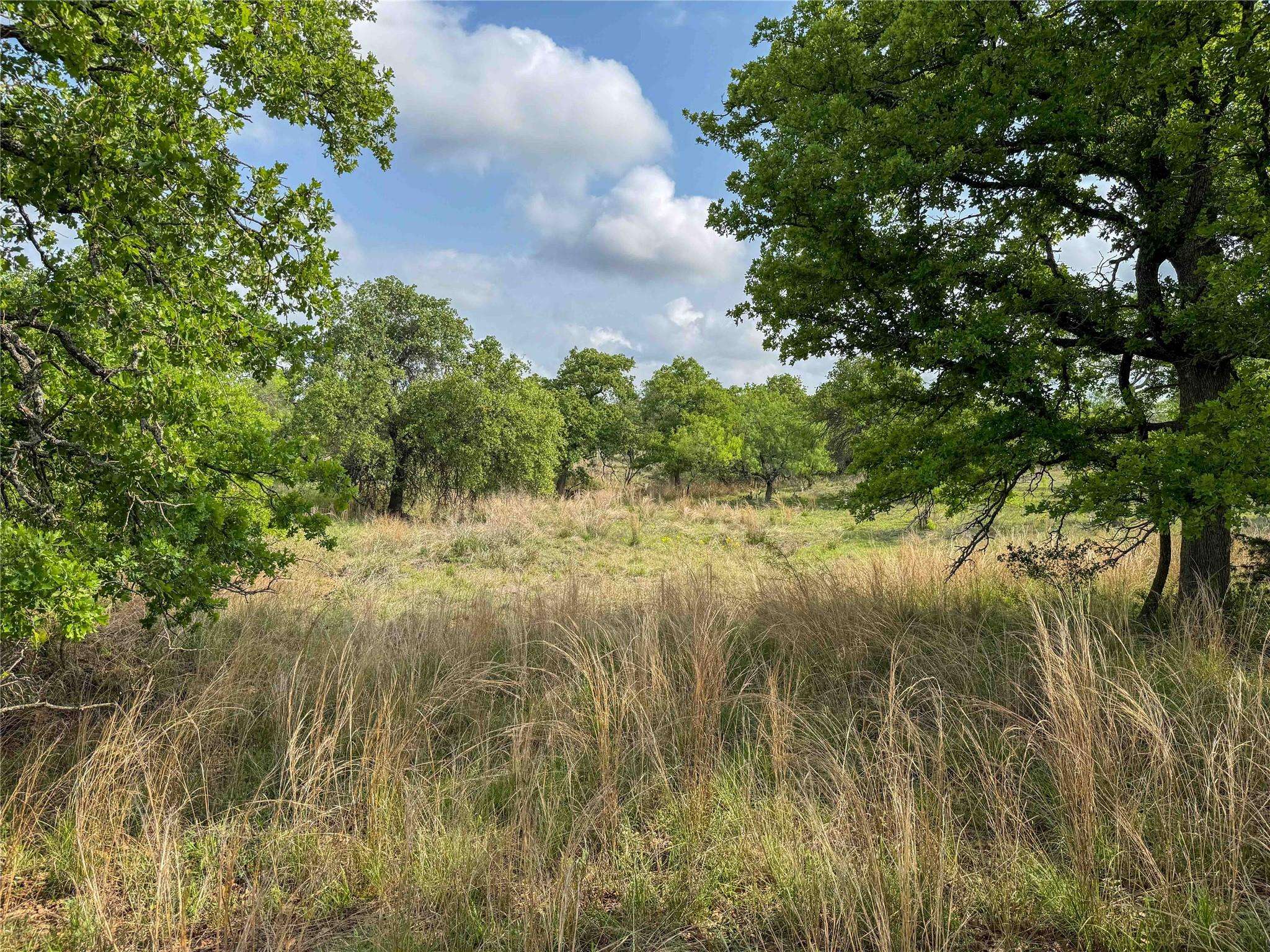 Mason, TX 76856,TBD Fly Gap RD