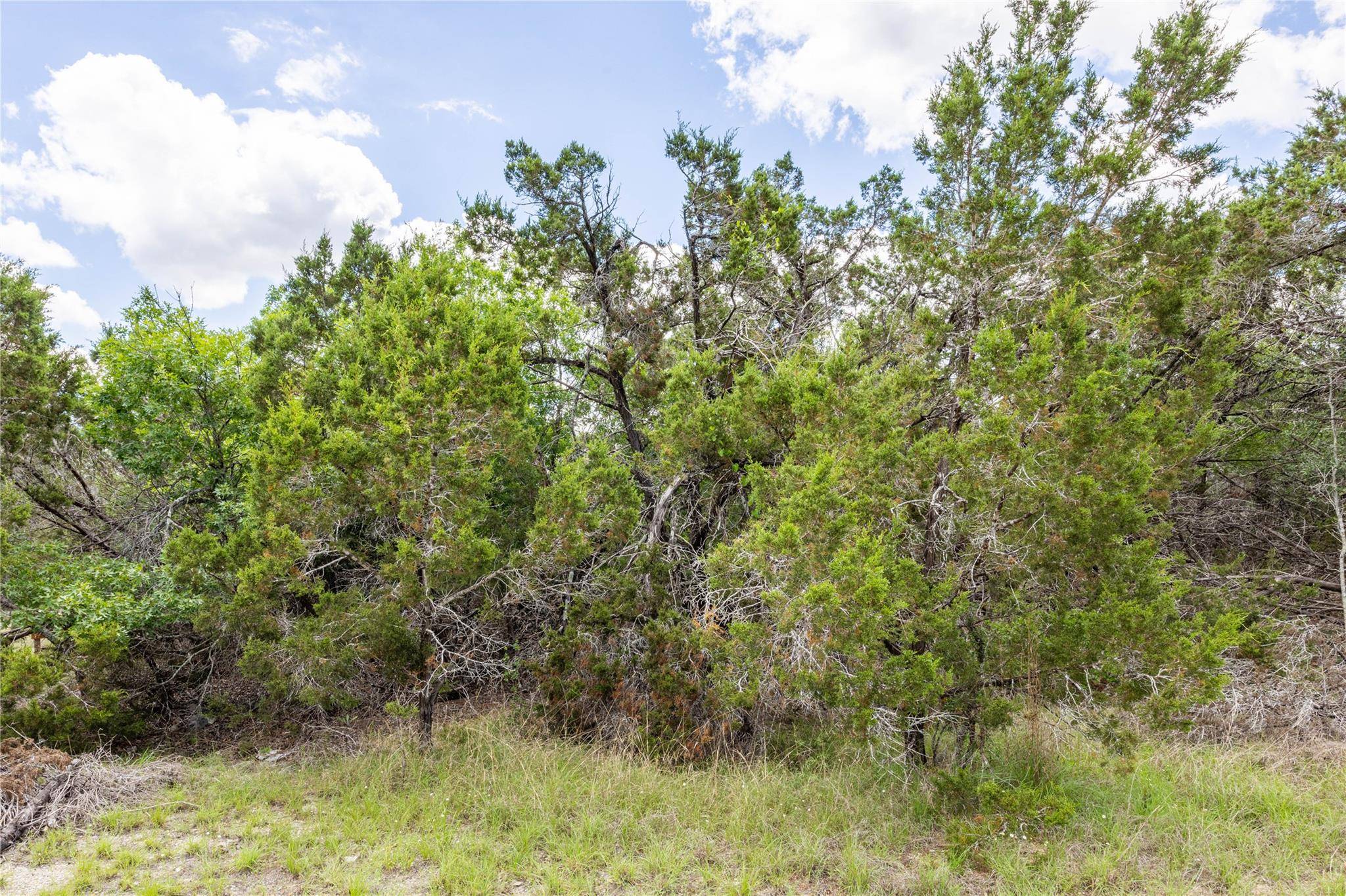 Wimberley, TX 78676,TBD Cheyenne Trail TRL