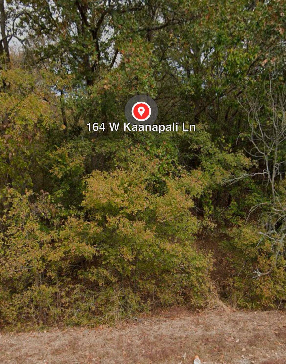 Bastrop, TX 78602,162 & 164 W Kaanapali LN