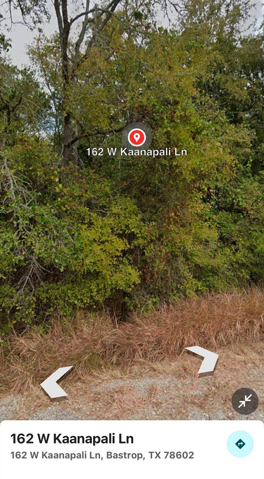 Bastrop, TX 78602,162 & 164 W Kaanapali LN