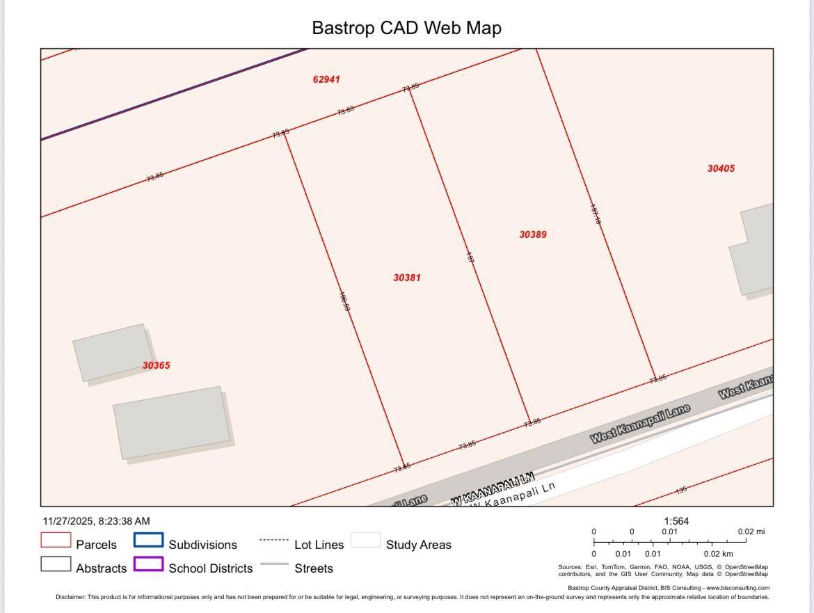 Bastrop, TX 78602,162 & 164 W Kaanapali LN