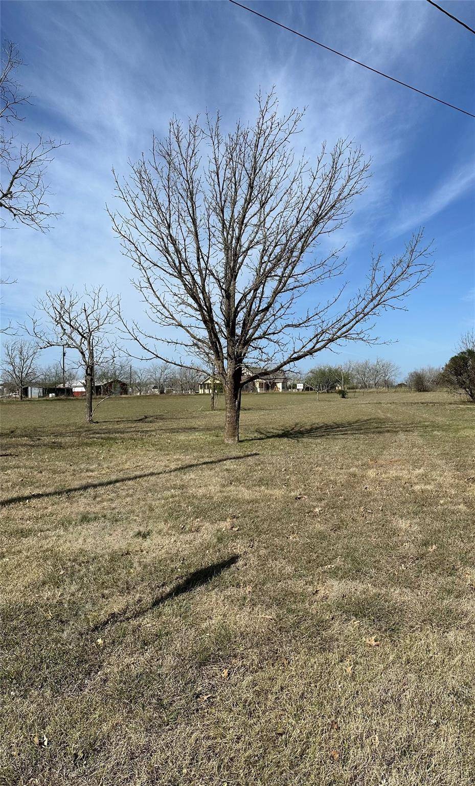 Blanco, TX 78606,41 Mesquite ST