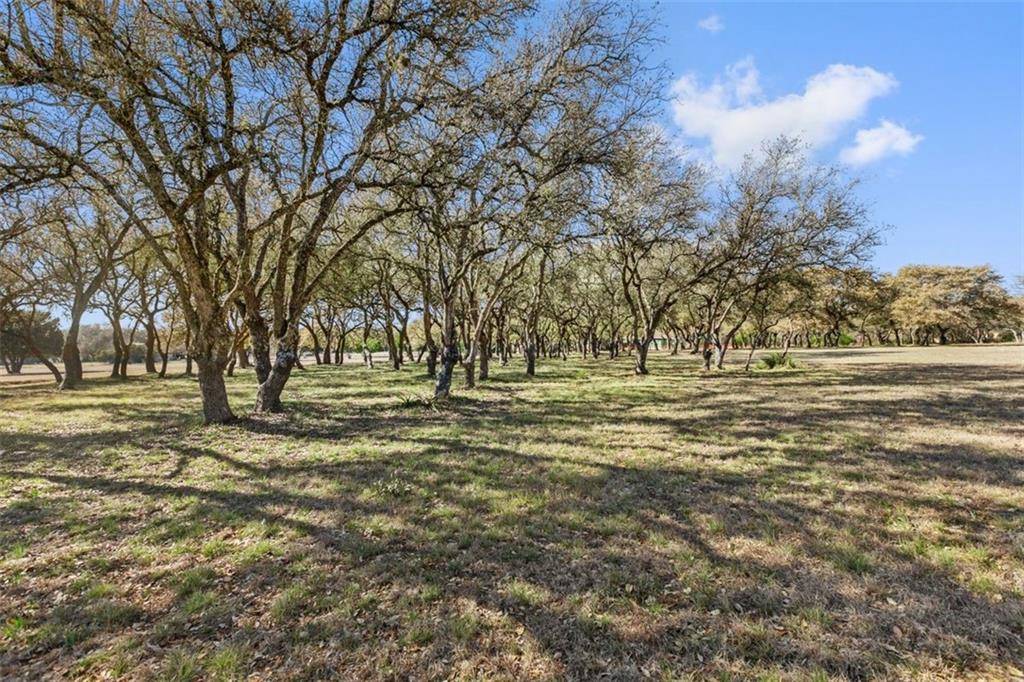 Dripping Springs, TX 78620,615 Spanish Oaks TRL