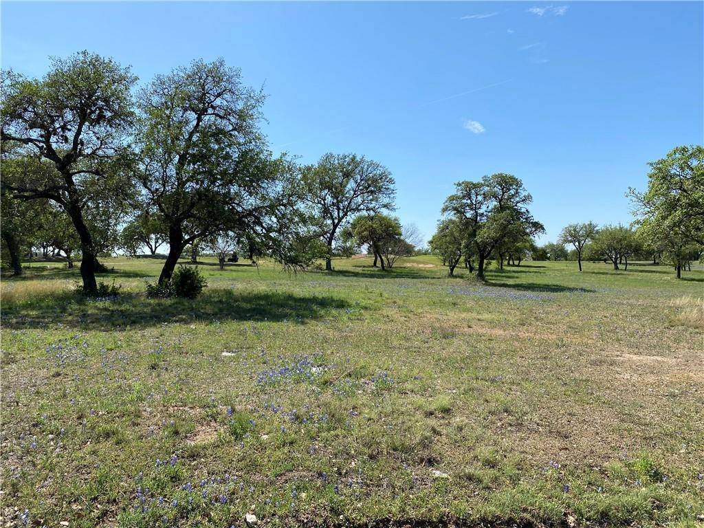 Spicewood, TX 78669,3021 Cliff Overlook