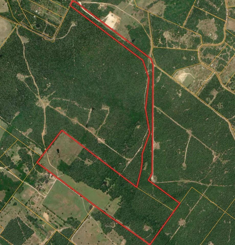 Caldwell, TX 77836,10222 CR 316