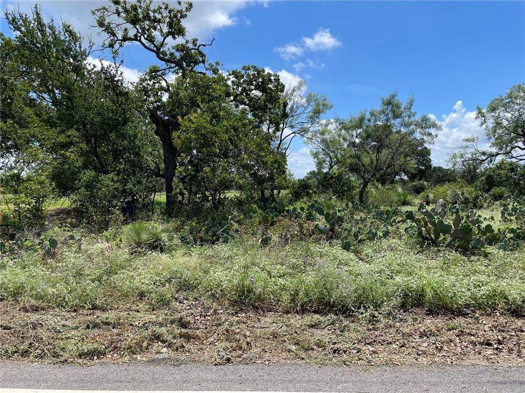 Granite Shoals, TX 78654,Lots 250-251 Valley View LN