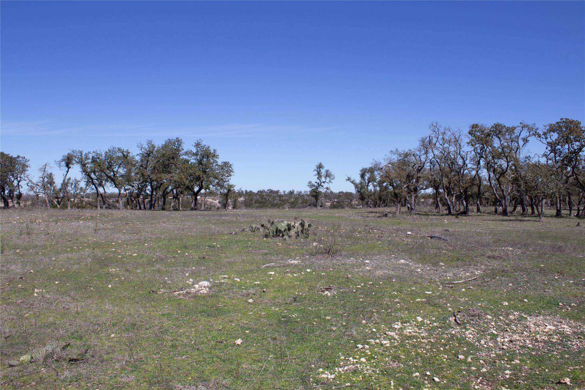 Blanco, TX 78606,TBD W Starview CV