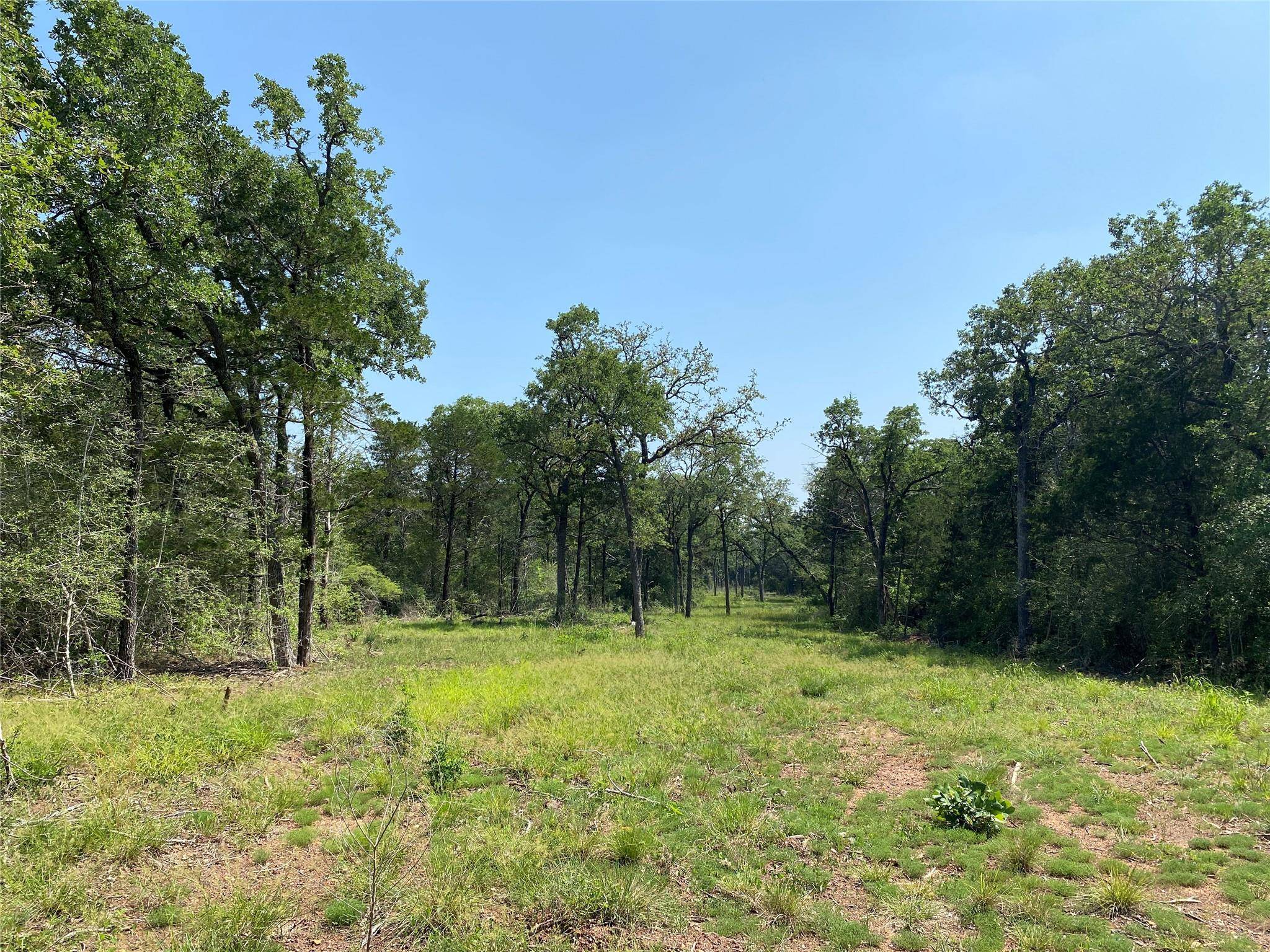 Smithville, TX 78957,TBD High Crossing Rd - TRACT 8